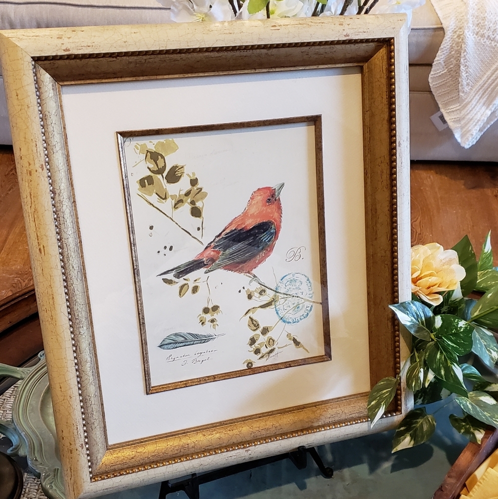 Bird picture.